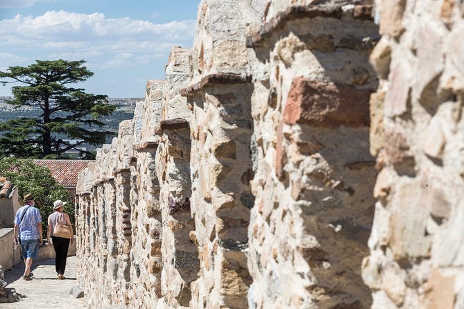 Avila with Walls and Segovia with Alcazar from Madrid - Who should book this Avila and Segovia day trip?