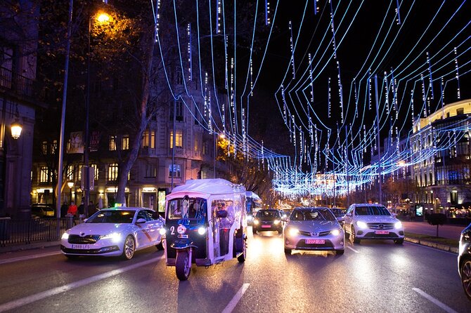Christmas Lights Tour of Madrid in Eco Tuk Tuk Private - Price and time value: does $47.77 make sense?