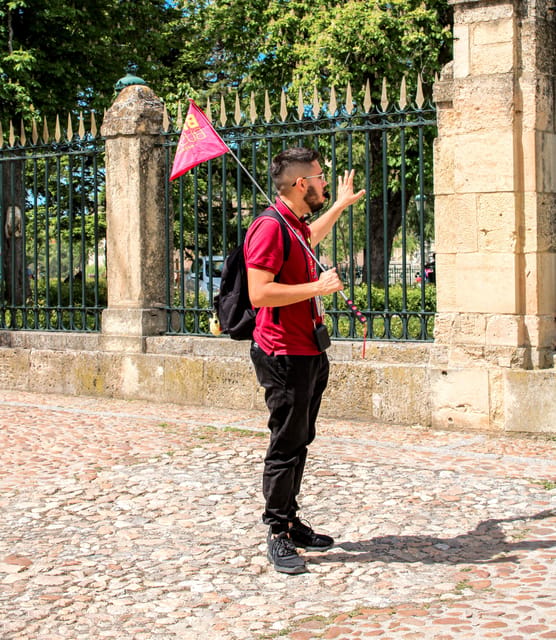 From Madrid: Ávila and Segovia Guided Day Trip - Plaza Mayor, Segovia Cathedral, and the kind of walking you can control
