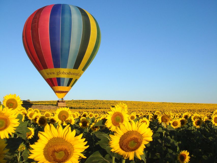 From Madrid: Hot Air Balloon Ride in Segovia with Pickup - The Ground Stops: Photo Stop, Picnic, and the Way They Keep It Moving