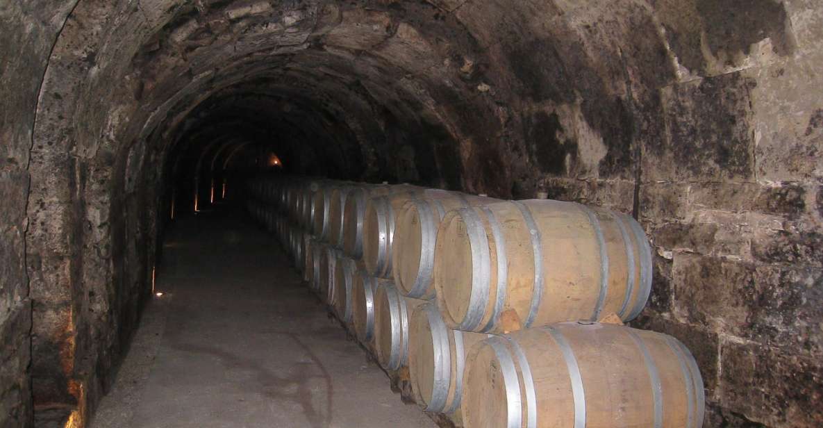 From Madrid: Ribera del Duero Tour of 3 Wineries w/ Tastings - Three family wineries: modern design, vineyard-integrated production, and medieval caves