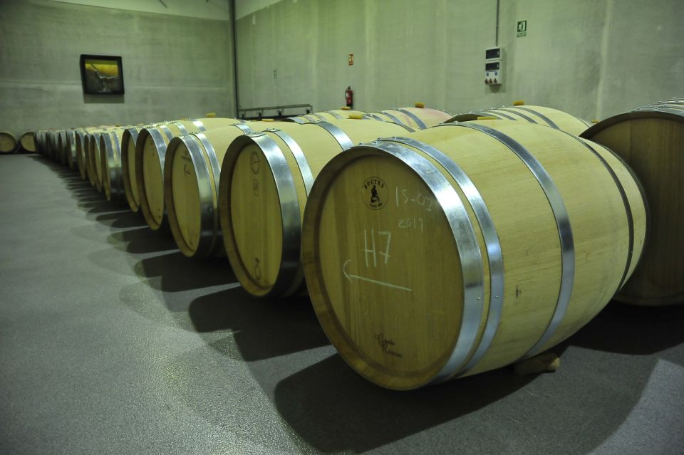 From Madrid: Ribera del Duero Tour of 3 Wineries w/ Tastings - Aranda de Duero winery time: why the morning feels like the training ground