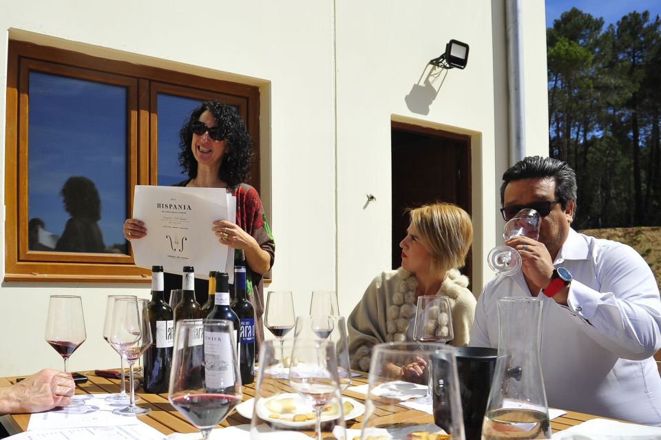 From Madrid: Ribera del Duero Tour of 3 Wineries w/ Tastings - The underground cellar visit: what makes a 13-meter-deep cellar worth your time