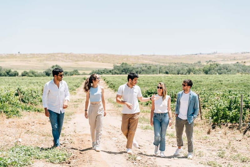 From Madrid: Toledo City Tour and Wine Tasting Experience - Toledo free time (105 minutes): how to use it like a local