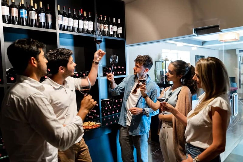 From Madrid: Toledo City Tour and Wine Tasting Experience - Who drives and guides matters more than you think