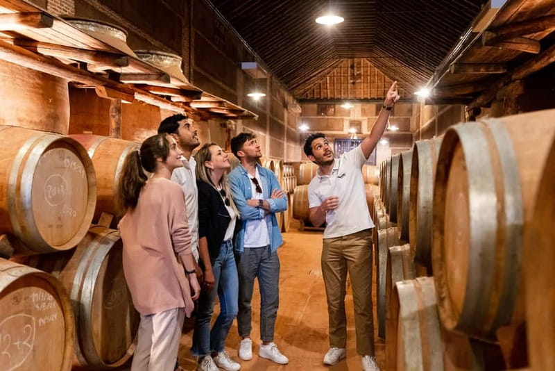 From Madrid: Toledo City Tour and Wine Tasting Experience - Getting from Madrid: transport that keeps the day comfortable