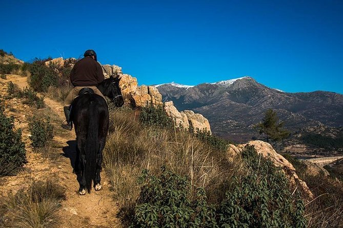 Horse Riding Madrid Natural Park - Getting Out of Madrid: Why This Horse Ride Works as a Half-Day