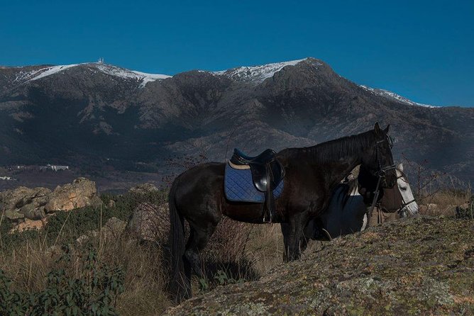 Horse Riding Madrid Natural Park - Timing, Group Size, and What Happens During the Day