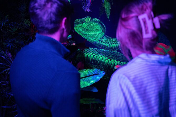 IKONO: a Unique Sensory and Photographic Experience - Price and value: is $14.41 per person fair?