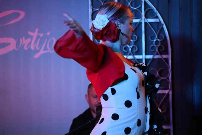 Local Flamenco Show with dinner at El Cortijo - The flamenco show at about 9:00 pm: two sets, one intense arc