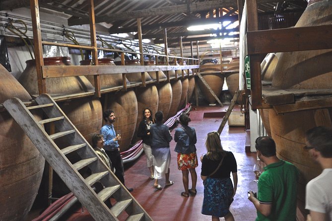 Madrid Countryside Wineries Guided Tour with Wine Tasting - Key takeaways before you go