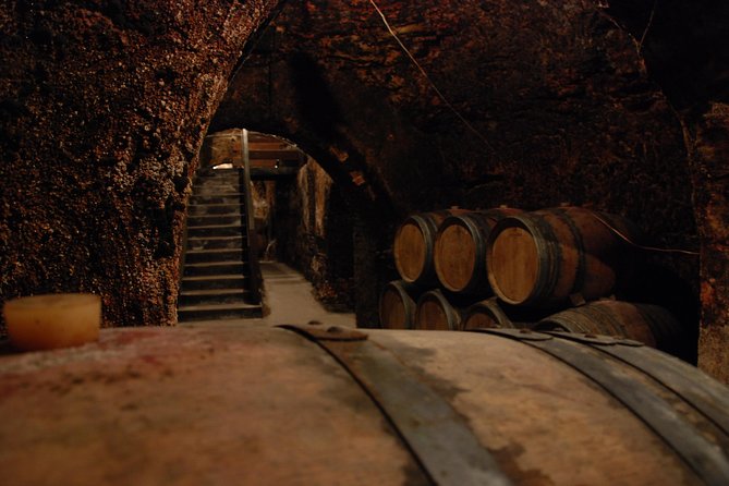 Madrid Countryside Wineries Guided Tour with Wine Tasting - Stop 1 (Madrid): the quick start that sets the tone