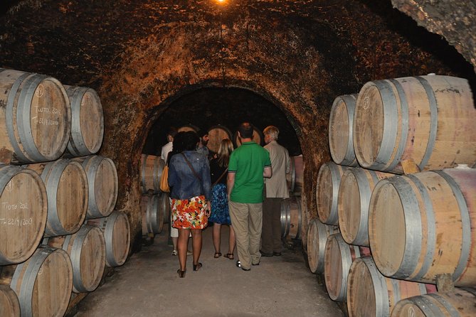 Madrid Countryside Wineries Guided Tour with Wine Tasting - Stop 3: Bodega del Nero and the story of the river vegas