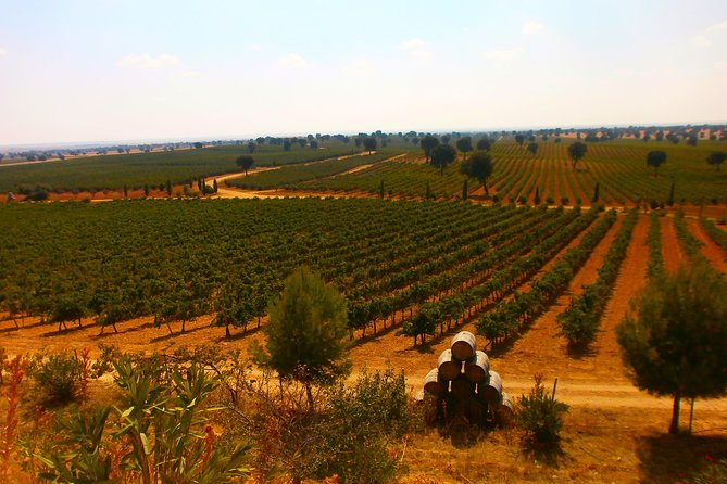Madrid Countryside Wineries Guided Tour with Wine Tasting - Stop 5 (back in Madrid): wrapping up and what to do next