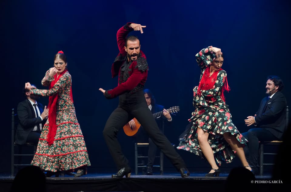 Madrid: "Emociones" Live Flamenco Performance - Key things that make Emociones worth your time