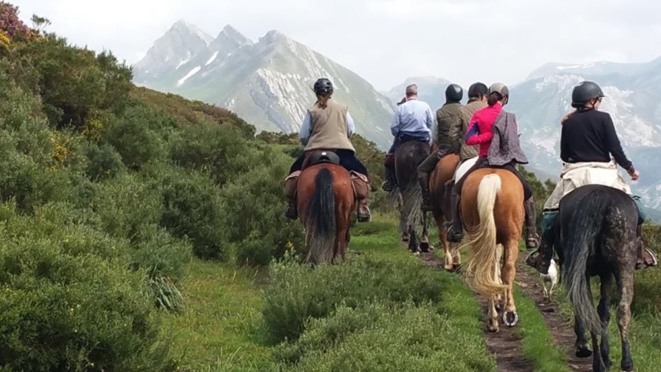 Madrid: Horse Riding in Sierra del Guadarrama National Park - Key things you’ll notice on this ride