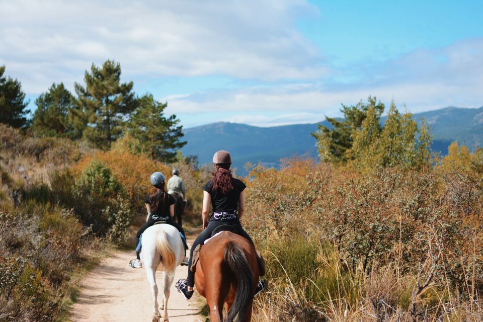 Madrid: Horse Riding in Sierra del Guadarrama National Park - The two-hour trail ride: what you’ll do once you’re mounted
