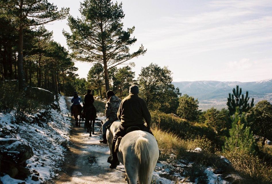 Madrid: Horse Riding in Sierra del Guadarrama National Park - Safety and instruction with Mariano: why the coaching matters