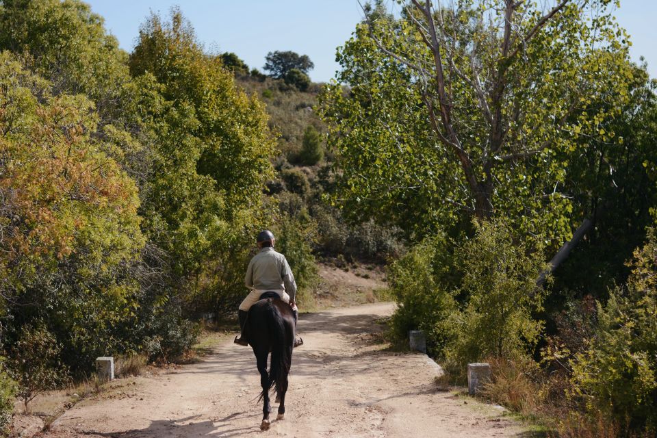 Madrid: Horse Riding in Sierra del Guadarrama National Park - Views plus classic sights: where El Escorial and Segovia fit in