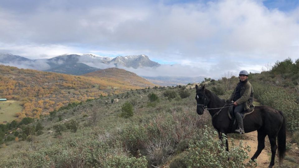 Madrid: Horse Riding in Sierra del Guadarrama National Park - Horses, comfort, and what the ride feels like for beginners