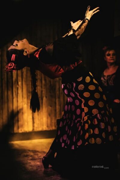 Madrid: Local Flamenco Show at El Cortijo - Tickets, Timing, and the Real Value of About $22