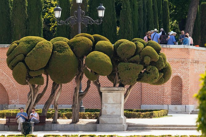 Madrid Prado Museum & City PRIVATE TOUR with Ticket Included - Logistics you can plan around (so nothing steals your joy)