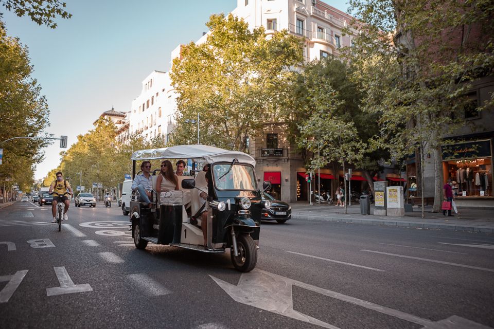 Madrid: Private City Tour by Eco Tuk Tuk - Puerta de Alcalá, Cibeles, and the money side of Madrid