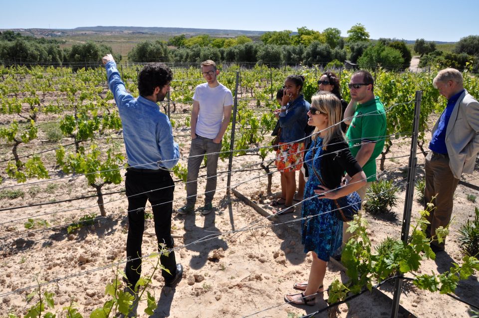 Madrid Region Wineries Guided Tour with Wine Tastings - Key highlights you’ll feel fast