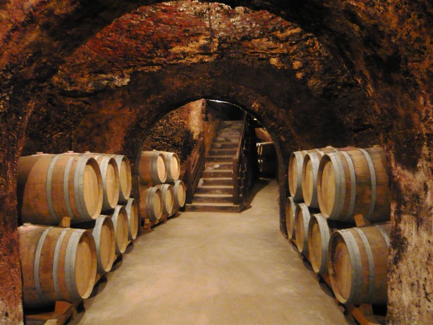 Madrid Region Wineries Guided Tour with Wine Tastings - From Pl. del Conde de Casal to Madrid’s wine towns in one smooth half day