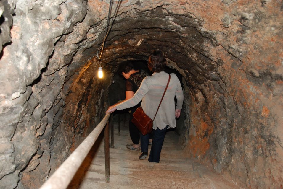 Madrid Region Wineries Guided Tour with Wine Tastings - Who this tour suits best (and who should skip it)
