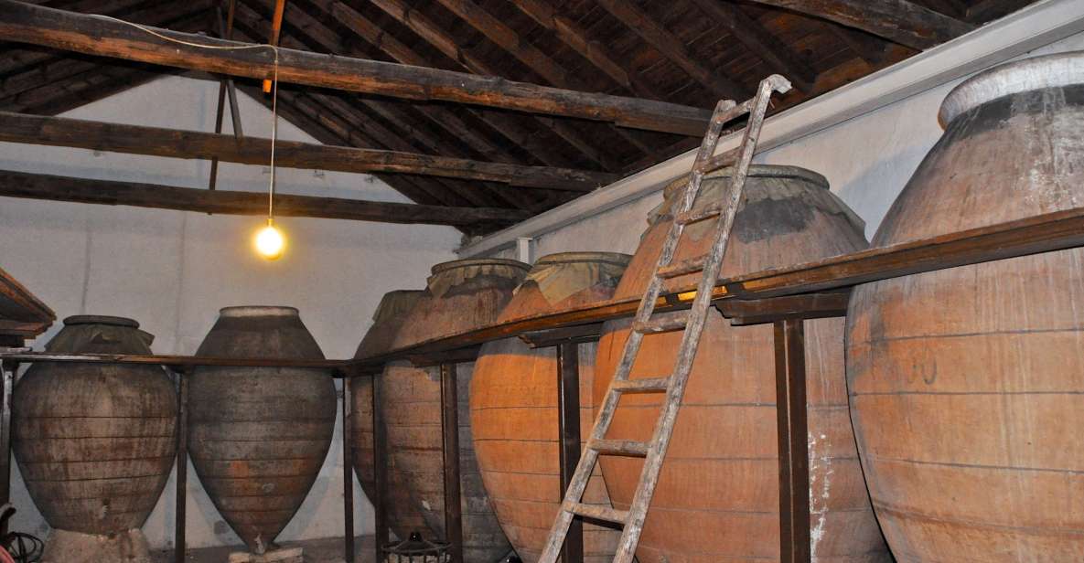 Madrid Region Wineries Guided Tour with Wine Tastings - Chinchón winery stop: where the tastings start and the town flavor kicks in