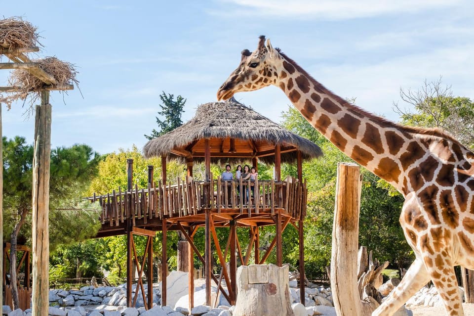 Madrid: Zoo Aquarium Madrid Ticket - The zoo exhibits: how to see more than the headline animals