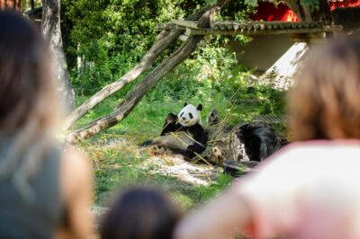 Madrid: Zoo Aquarium Madrid Ticket - Entering the park fast: where your voucher takes you