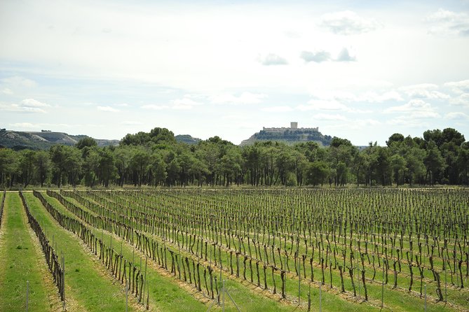 Ribera del Duero Wineries Guided Tour & Wine Tasting from Madrid - Key highlights worth your attention