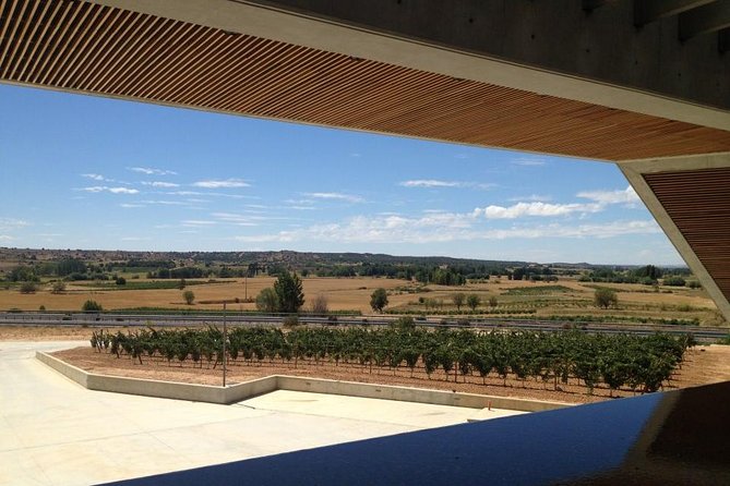 Ribera del Duero Wineries Guided Tour & Wine Tasting from Madrid - Small-group reality: comfort, pace, and what to pack