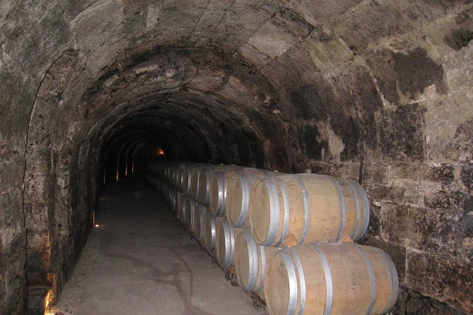 Ribera del Duero Wineries Guided Tour & Wine Tasting from Madrid - Stop-by-stop: what each part of the day actually feels like