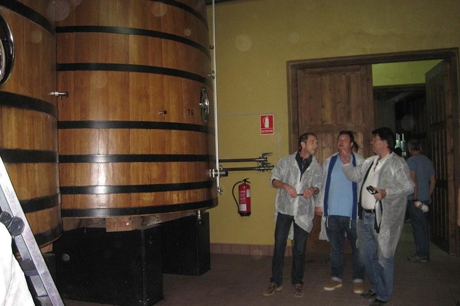 Ribera del Duero Winery Guided Tour and Wine Tasting from Madrid - Ribera del Duero reds plus castles in one day