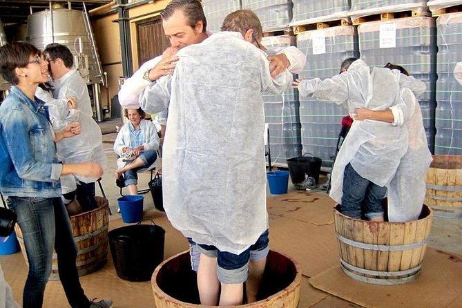 Ribera del Duero Winery Guided Tour and Wine Tasting from Madrid - Lunch break: Castilian food is on you