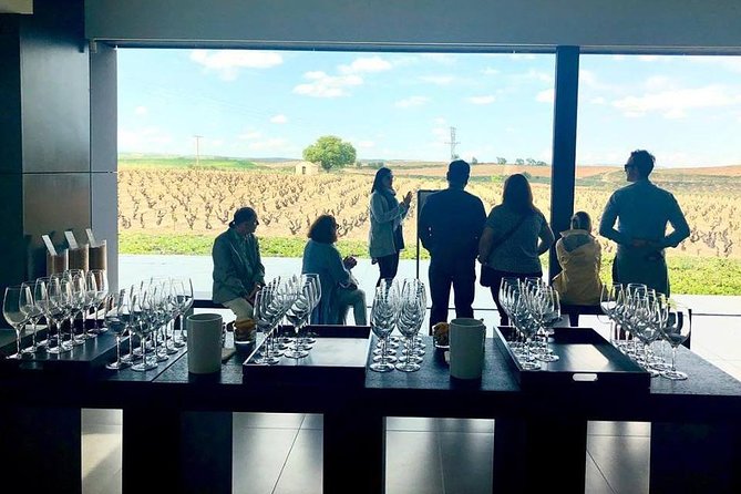 Ribera del Duero Winery Guided Tour and Wine Tasting from Madrid - Price and what’s actually included in the $191.87