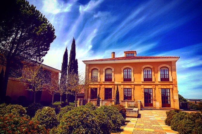 Ribera del Duero:4 Wineries, tasting & Lunch included from Madrid - Bodega Alvides in a 16th-century cellar: rare bottles you won’t see elsewhere