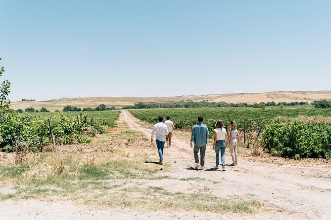 Spanish Villages & Winery Visit with Wine Tasting and Tapas Lunch - Where this tour shines—and where it may not