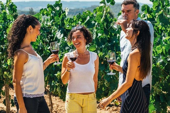 Toledo Tour & Vineyard Walk with Wine Tasting from Madrid - Madrid Check-In: Starting at We Madrid Store